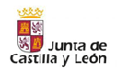 JUNTA DE CASTILLA Y LEON